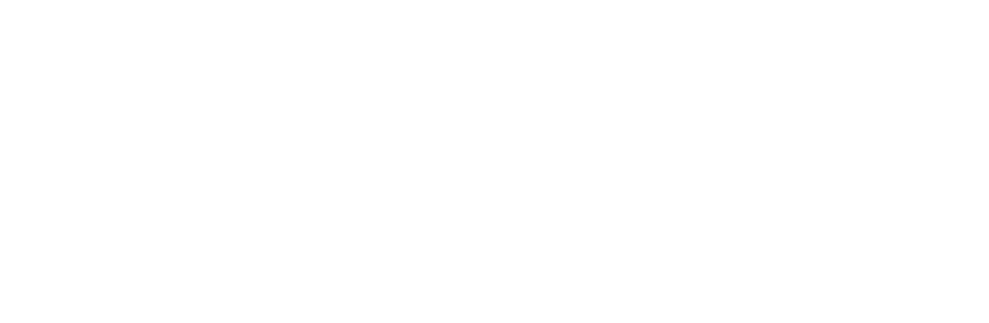 CACI idt. logo