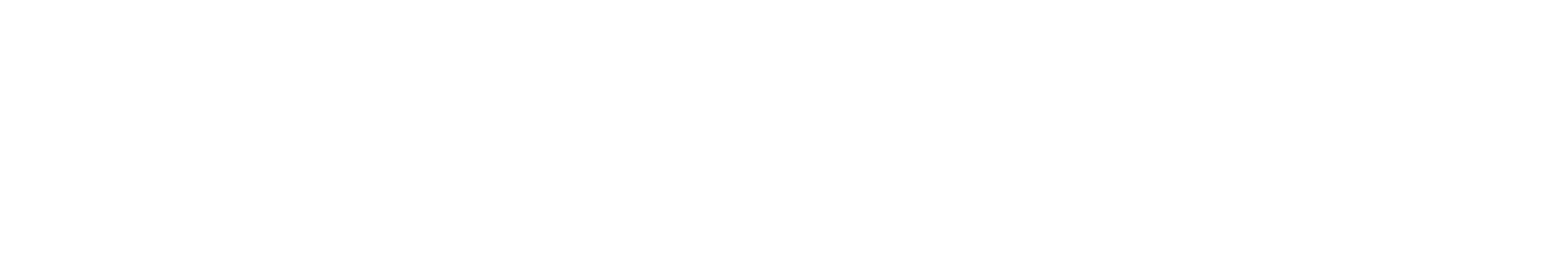 ThunderCat Technology logo